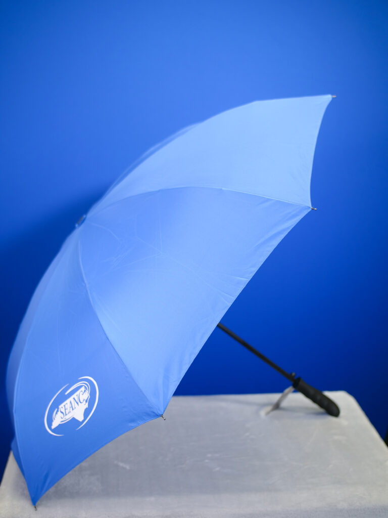 Umbrella - Reversable